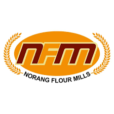 NFM LOGO