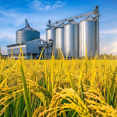 Gemini_Generated_Image_dex3u9dex3u9dex