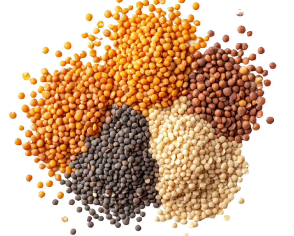 Pulses-removebg-preview